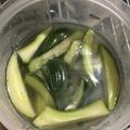 aytoco's cooksnap of when they made 簡単キュウリとナスで水キムチ.