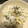 メルMAMA＊'s cooksnap of when they made 秋の味覚♪ 栗おこわ.