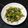 ゆぅだぃ☆'s cooksnap of when they made 超簡単、ベーコンと豆苗のにんにく醤油炒め.