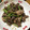 ☆しづ姉☆'s cooksnap of when they made 砂肝とニンニクの芽でスタミナ炒め★簡単♪.