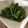 こめ＋'s cooksnap of when they made ごま味噌だれ.