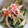 呑んべぇは友達's cooksnap of when they made ちくわときゅうりのからしあえ.