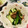 梟ぷくぷく's cooksnap of when they made 梅でさっぱり！胡瓜と茗荷の梅おかか和え.