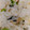 クックOQE6NA☆'s cooksnap of when they made 鮭と枝豆のご飯.