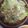 メロンパンケーキ's cooksnap of when they made しめじとアボカドのマヨサラダ.