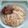 さーパパ's cooksnap of when they made 焼き鯖そうめん…もどき.