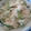 柊さくら's cooksnap of when they made オクラときゅうりの白和え.