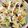 クックQFK3WL☆'s cooksnap of when they made さば缶で✿栄養満点炊き込みご飯.