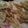 香歌ママ's cooksnap of when they made ごぼうチップス.