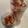 ＭｉｙａＣｏ's cooksnap of when they made 秘密にしたい　ラスク.