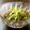 みんみんみんと♪'s cooksnap of when they made 簡単に一品 ♬ メカブきゅうり.