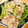 ☆＊asami＊☆'s cooksnap of when they made 簡単☆豚ともやしと豆苗のレンジ蒸し.
