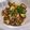 cook☆mi's cooksnap of when they made きゅうりと塩こんぶで簡単 お弁当にも.