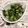ぽぽきゅ's cooksnap of when they made オクラと塩昆布の白だし和え.