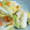 うさももぎ's cooksnap of when they made 白菜のごまマヨ和え.