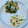 yesmama's cooksnap of when they made *ニラと桜エビと炒り卵のサラダ*.