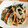 ゆこPIN's cooksnap of when they made マロニーとさやいんげんのマヨサラダ.