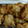 ｍｒｓ．Ｑｕｅｅｎ's cooksnap of when they made 揚げ焼きでヘルシー☆鶏肉の竜田揚げ.