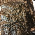 M321Y's cooksnap of when they made オーブンでぱりぱり焼き海苔…海苔の焼き方.