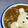 ☆ありか358☆'s cooksnap of when they made 簡単☆トロトロ牛すじカレー.