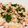 クックW7QV3W☆'s cooksnap of when they made 豚の冷しゃぶ☆ニラネギたっぷりタレ.