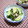 かこ☆かっちゃん's cooksnap of when they made 酢しょうが＆丸ごとスダチde酢の物.