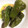 chie32's cooksnap of when they made 種まで美味しいピーマンの丸ごと煮.