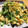 ayayahoney's cooksnap of when they made 豆苗の中華風卵とじ.