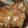 けーーーーーーーーい's cooksnap of when they made 赤魚の甘辛煮♪魚の簡単煮付け.