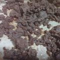 腹ペコクックン's cooksnap of when they made ☄夏を乗り切る♪合い挽き肉の軟そぼろ☄.