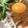 toshio39's cooksnap of when they made 冷しうどん☆担々麺風.