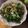 GoGo島みかん's cooksnap of when they made くうしん菜とベーコンのガーリック炒め.