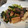 ちばちゃん０８２７'s cooksnap of when they made 牛肉と長芋、小ネギのオイスター炒め♪.