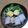 nyakonana's cooksnap of when they made 簡単！臭くない！シズヨさんのチャーシュー.