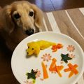 なまけたろう☆'s cooksnap of when they made 犬用ケーキ ハロウィン バースデー.