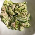マイレーン's cooksnap of when they made 大人味な♬ゴーヤとツナのマヨポン和え.
