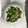 クックBZTVUP☆'s cooksnap of when they made さば缶とピーマンのピリ辛炒め.
