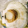 マテちゃ's cooksnap of when they made レンジで簡単！殻付き帆立貝のバター醤油.