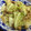 ＋SUN3's cooksnap of when they made 豚肉とキャベツとエリンギのぽん酢和え.
