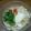 みみりん♪♪'s cooksnap of when they made 甘くないつゆのおろし蕎麦.
