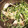 さとあり！'s cooksnap of when they made 豚トロと豆苗の炒め物.
