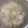 食べまくり's cooksnap of when they made 白菜とじゃがいもとタラコの煮物♥簡単☆.