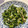 フジぽん's cooksnap of when they made 塩酒粕で作ってみました♪玉ねぎヨーグルト.