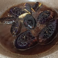 ぐうたら主婦みん's cooksnap of when they made 簡単美味しい★つくおき♬茄子の煮浸し★.