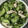 アボガドまん's cooksnap of when they made ささみときゅうりの梅しそ和え☆.
