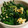 ココシャネル0607's cooksnap of when they made スタミナ満点！かんたんにんにくニラ玉.