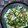 みがつくひと's cooksnap of when they made 簡単 ★ みょうがとオクラの塩昆布和え.