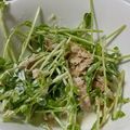 ヨシヨッシー's cooksnap of when they made ＊豆苗とツナのサラダ＊.
