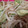 ゆきひろいち's cooksnap of when they made もやしときゅうりとツナのナムル.