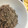 ぱるママぱたこ's cooksnap of when they made 簡単！豚そぼろ.